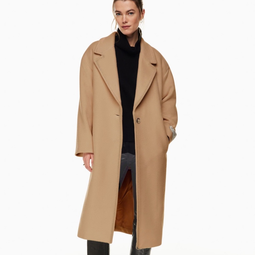 Aritzia the only coat